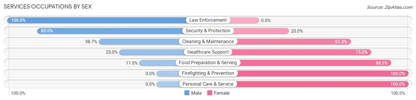 Services Occupations by Sex in Troy borough