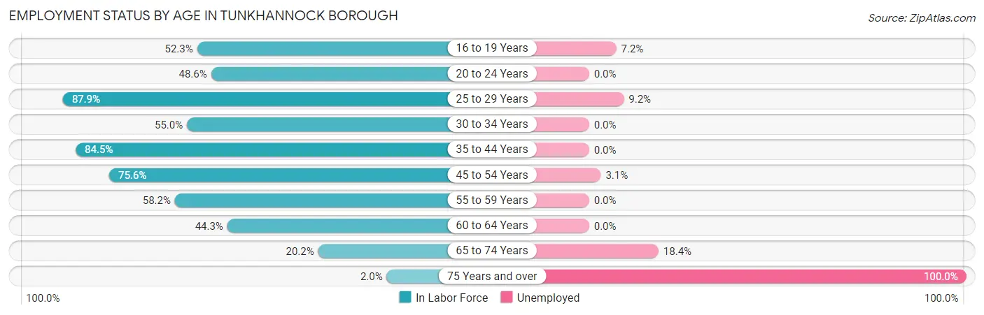 Employment Status by Age in Tunkhannock borough