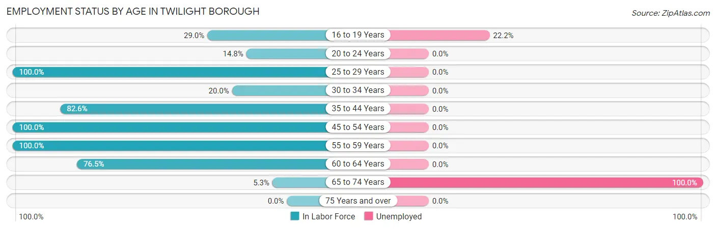 Employment Status by Age in Twilight borough