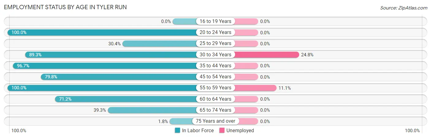 Employment Status by Age in Tyler Run
