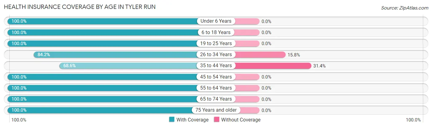 Health Insurance Coverage by Age in Tyler Run