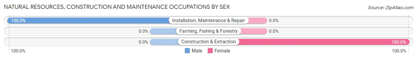 Natural Resources, Construction and Maintenance Occupations by Sex in Tyler Run