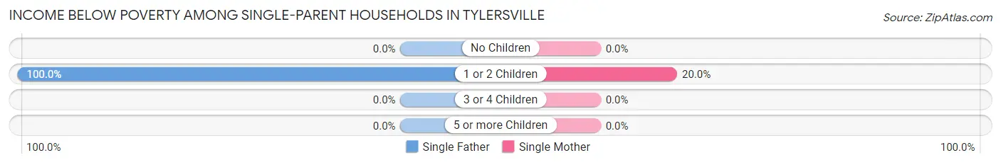 Income Below Poverty Among Single-Parent Households in Tylersville