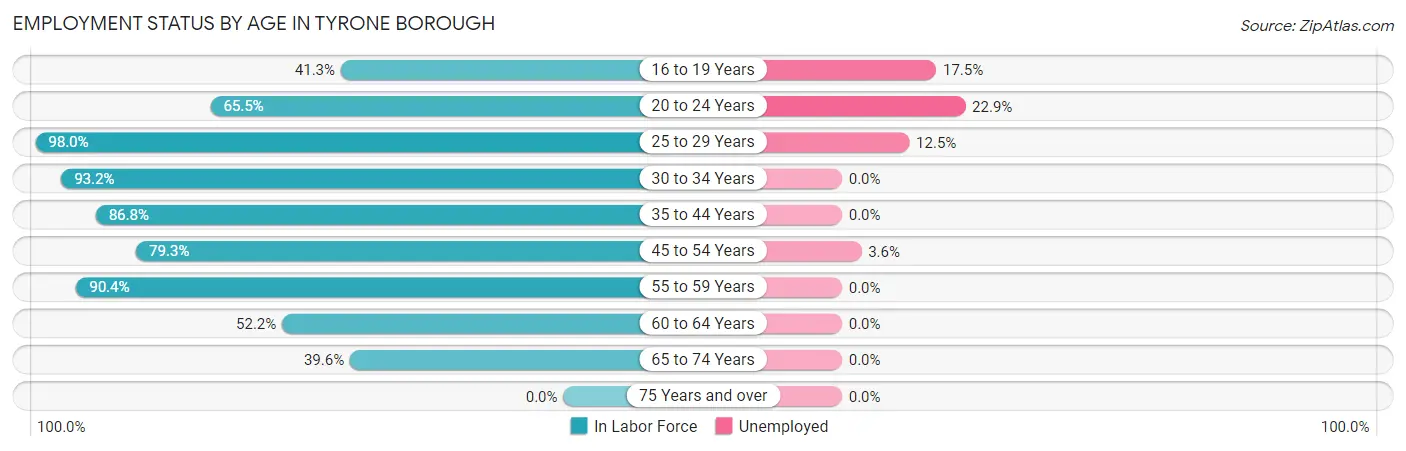 Employment Status by Age in Tyrone borough