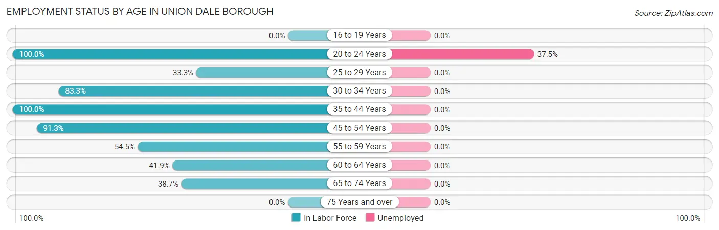 Employment Status by Age in Union Dale borough