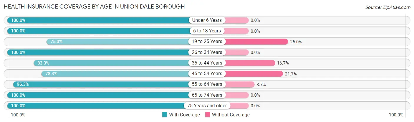 Health Insurance Coverage by Age in Union Dale borough