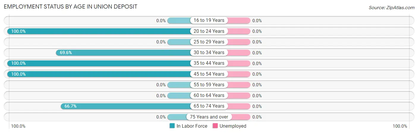 Employment Status by Age in Union Deposit