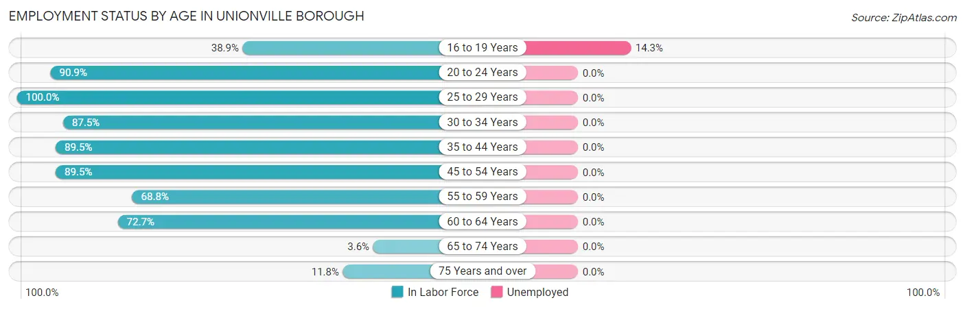 Employment Status by Age in Unionville borough