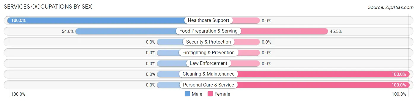 Services Occupations by Sex in Unionville borough