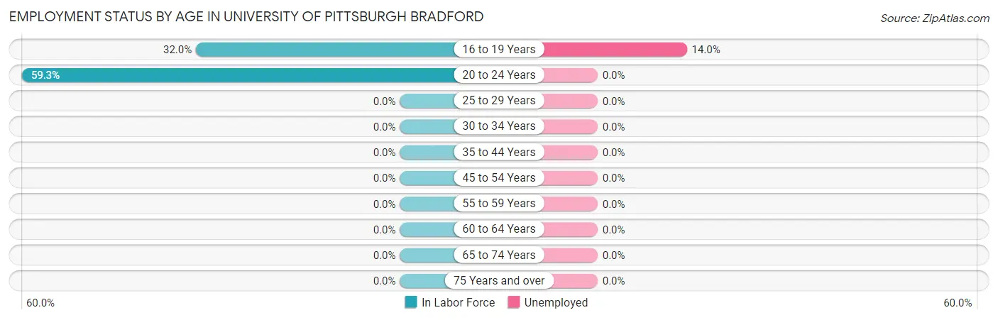 Employment Status by Age in University of Pittsburgh Bradford
