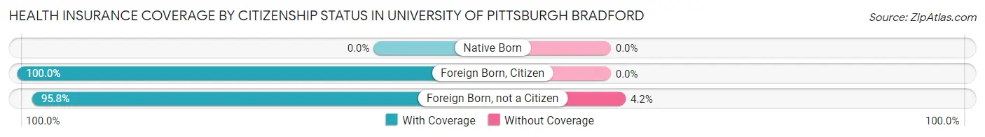 Health Insurance Coverage by Citizenship Status in University of Pittsburgh Bradford