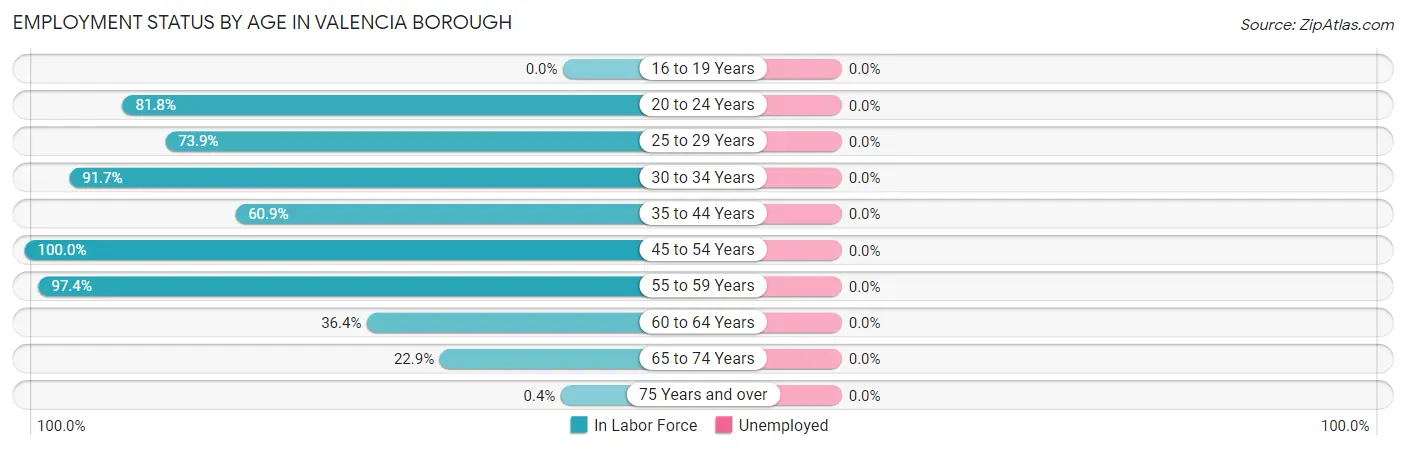 Employment Status by Age in Valencia borough