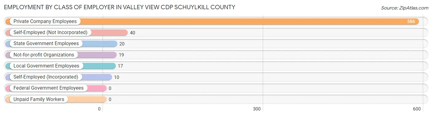 Employment by Class of Employer in Valley View CDP Schuylkill County