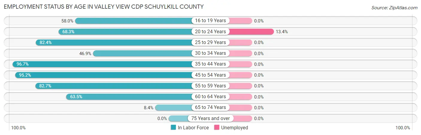 Employment Status by Age in Valley View CDP Schuylkill County