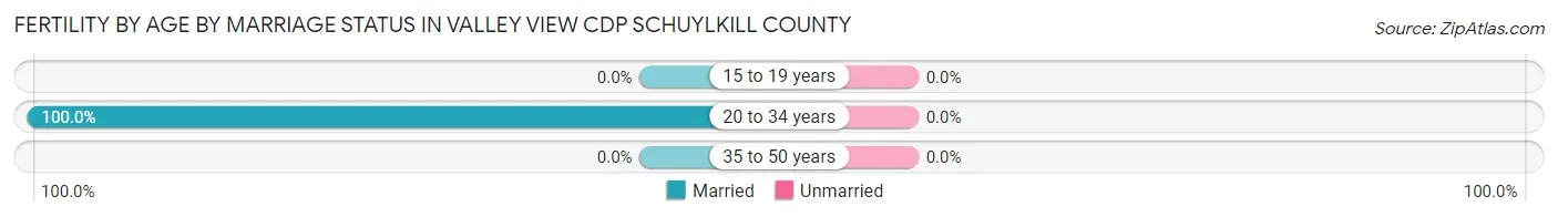 Female Fertility by Age by Marriage Status in Valley View CDP Schuylkill County