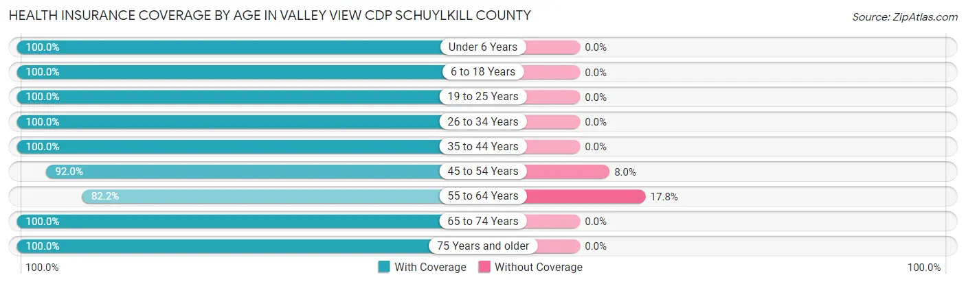 Health Insurance Coverage by Age in Valley View CDP Schuylkill County