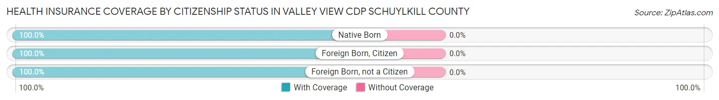 Health Insurance Coverage by Citizenship Status in Valley View CDP Schuylkill County