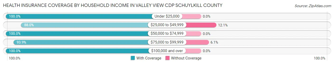Health Insurance Coverage by Household Income in Valley View CDP Schuylkill County