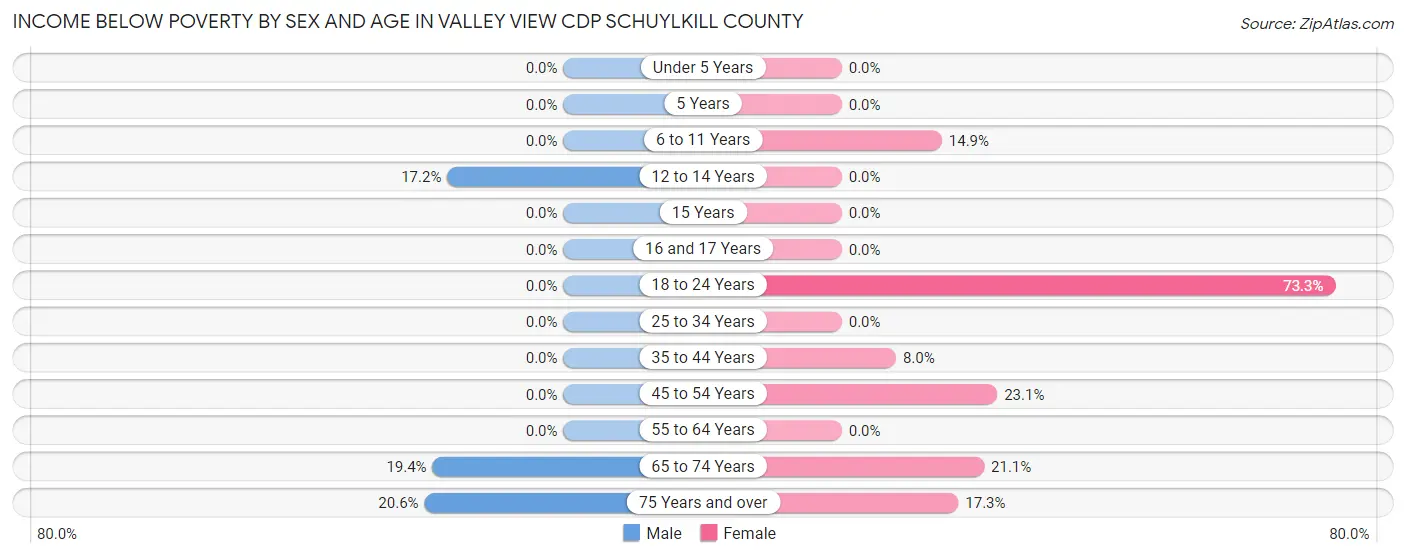 Income Below Poverty by Sex and Age in Valley View CDP Schuylkill County