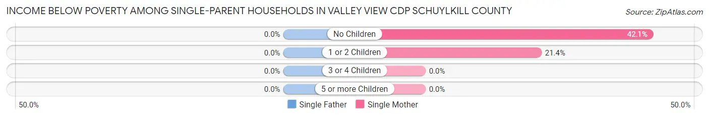 Income Below Poverty Among Single-Parent Households in Valley View CDP Schuylkill County