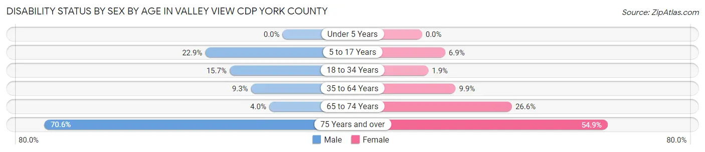 Disability Status by Sex by Age in Valley View CDP York County