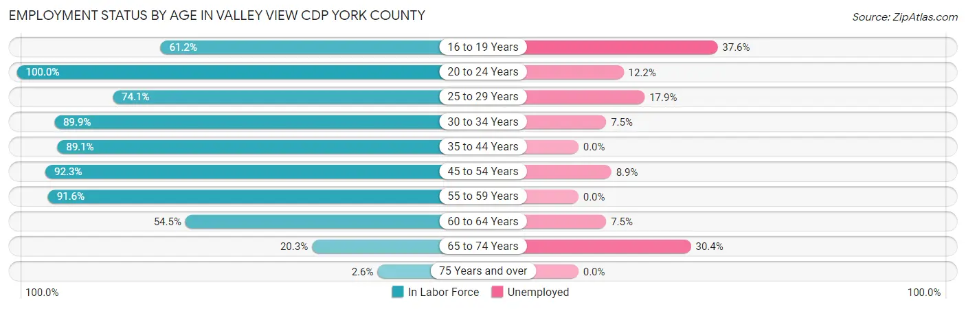 Employment Status by Age in Valley View CDP York County