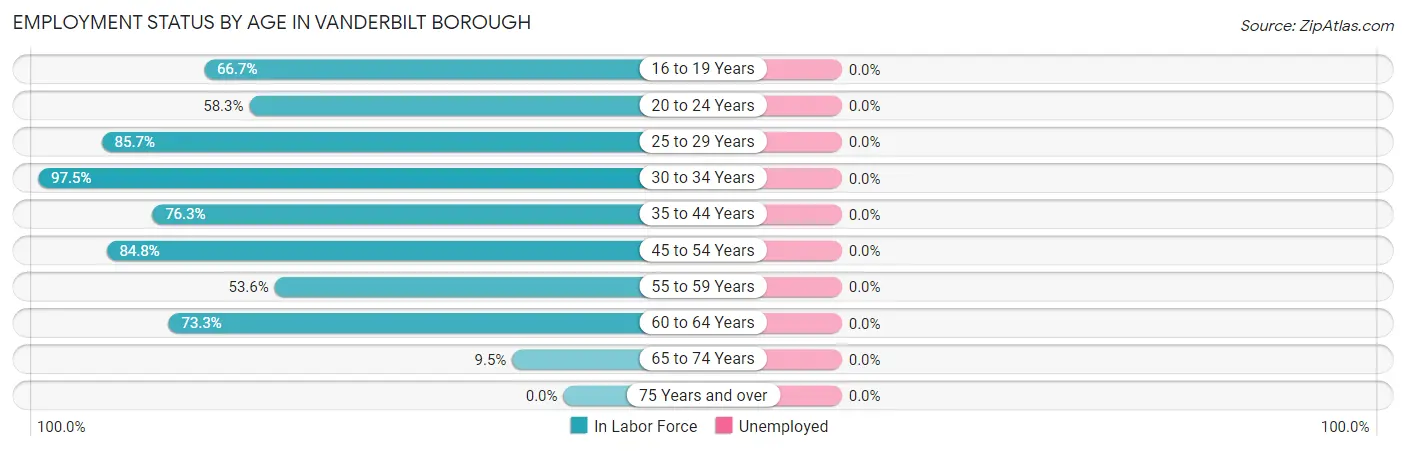 Employment Status by Age in Vanderbilt borough
