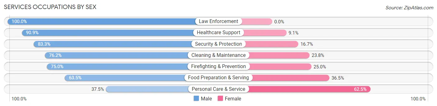 Services Occupations by Sex in Versailles borough