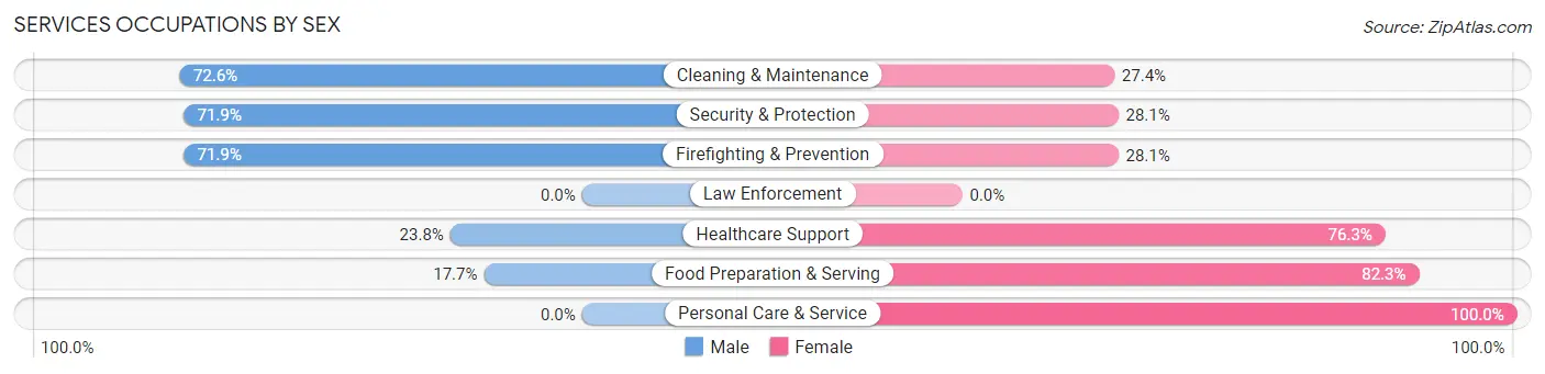 Services Occupations by Sex in Village Green Green Ridge