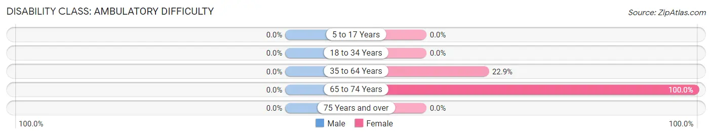 Disability in Wagner: <span>Ambulatory Difficulty</span>