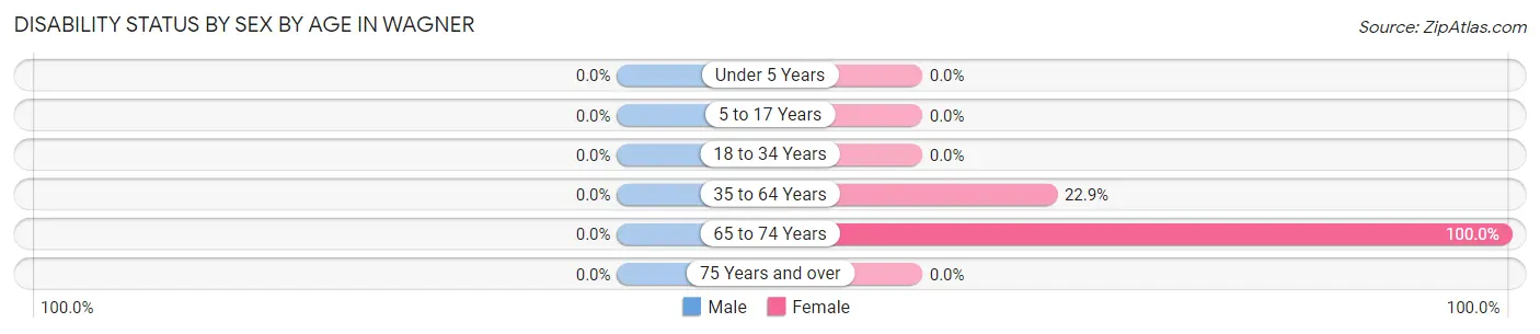Disability Status by Sex by Age in Wagner