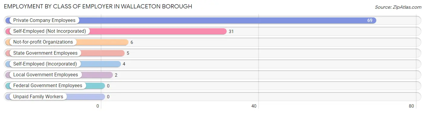Employment by Class of Employer in Wallaceton borough