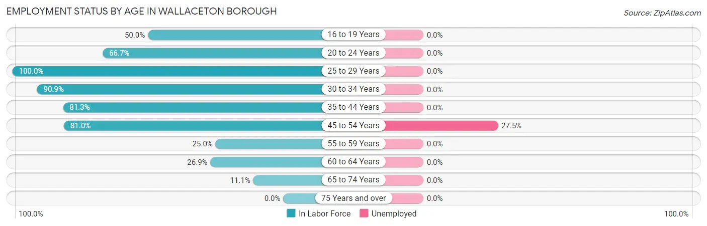 Employment Status by Age in Wallaceton borough