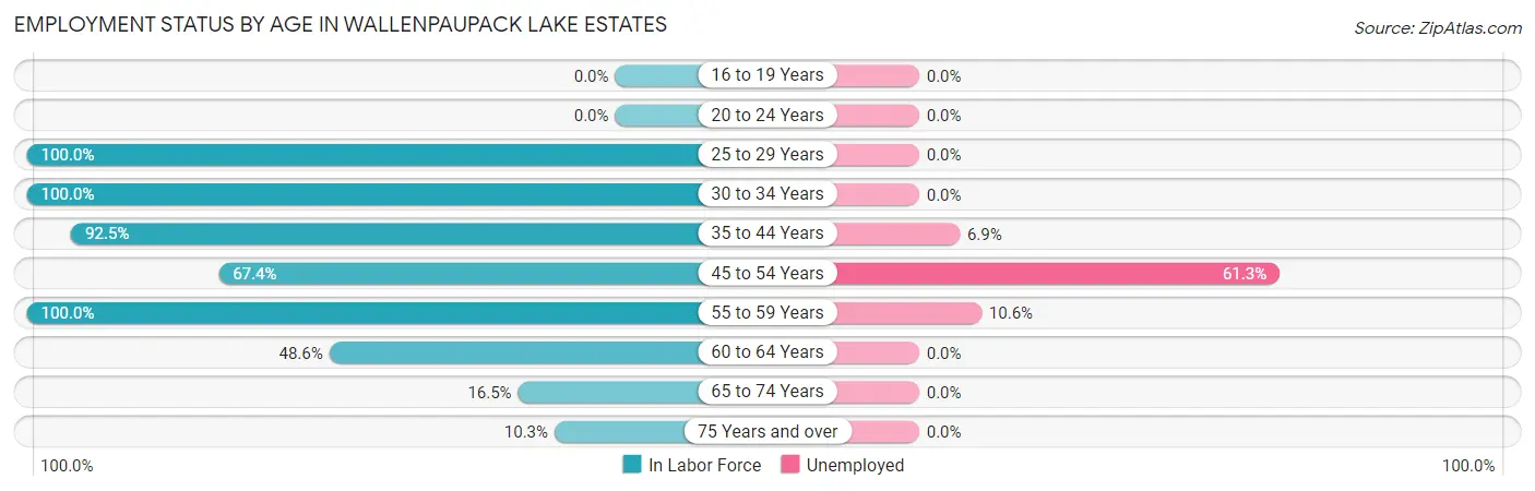 Employment Status by Age in Wallenpaupack Lake Estates