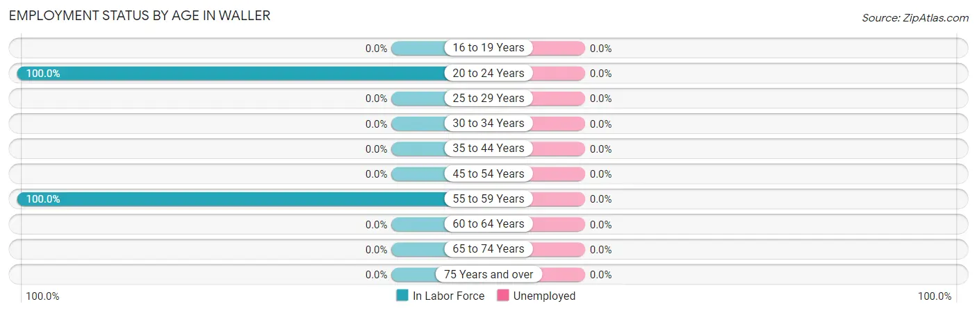 Employment Status by Age in Waller