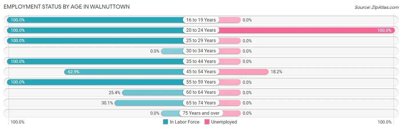 Employment Status by Age in Walnuttown