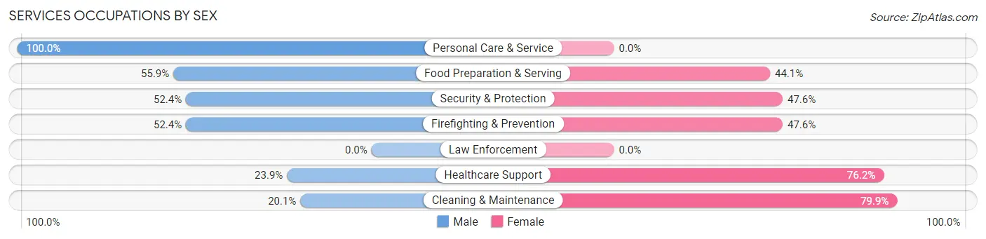 Services Occupations by Sex in Warminster Heights