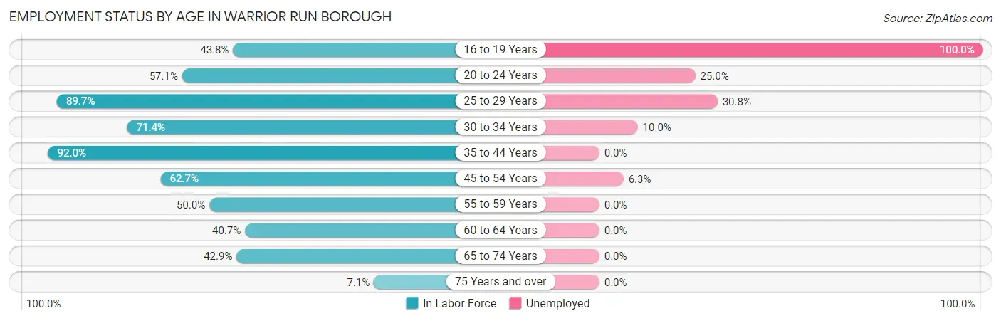Employment Status by Age in Warrior Run borough