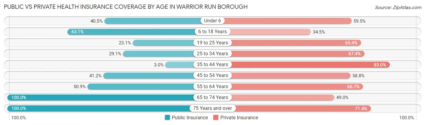 Public vs Private Health Insurance Coverage by Age in Warrior Run borough