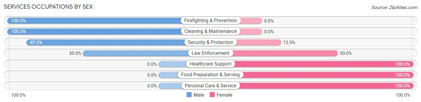 Services Occupations by Sex in Warrior Run borough