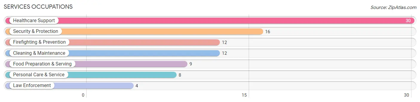 Services Occupations in Warrior Run borough