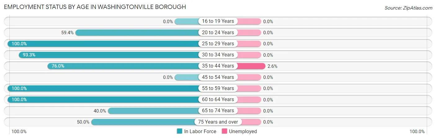 Employment Status by Age in Washingtonville borough