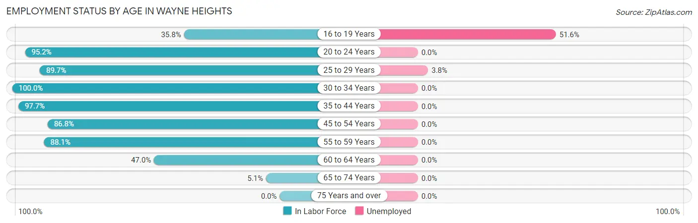 Employment Status by Age in Wayne Heights