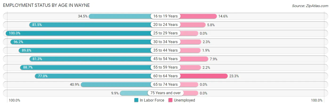 Employment Status by Age in Wayne