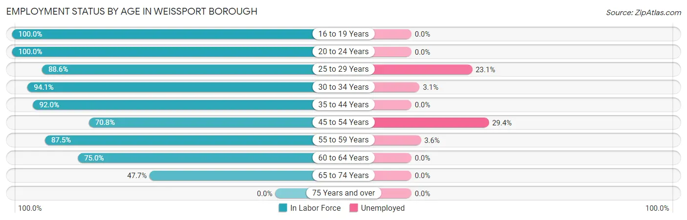 Employment Status by Age in Weissport borough