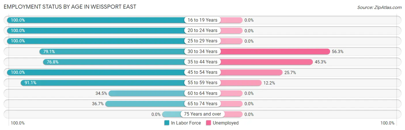 Employment Status by Age in Weissport East