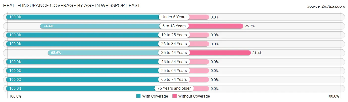 Health Insurance Coverage by Age in Weissport East