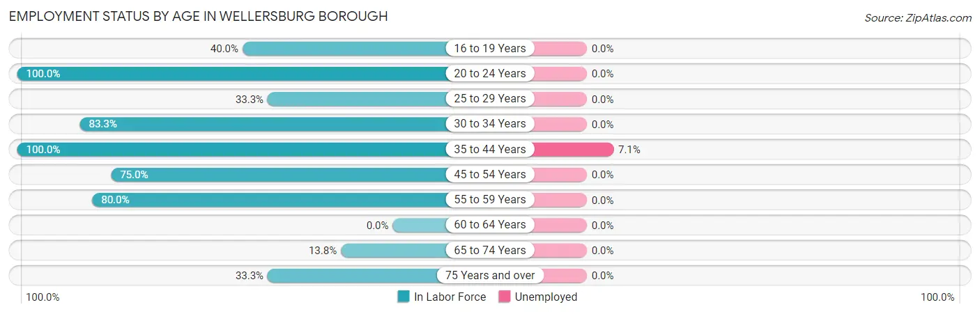 Employment Status by Age in Wellersburg borough