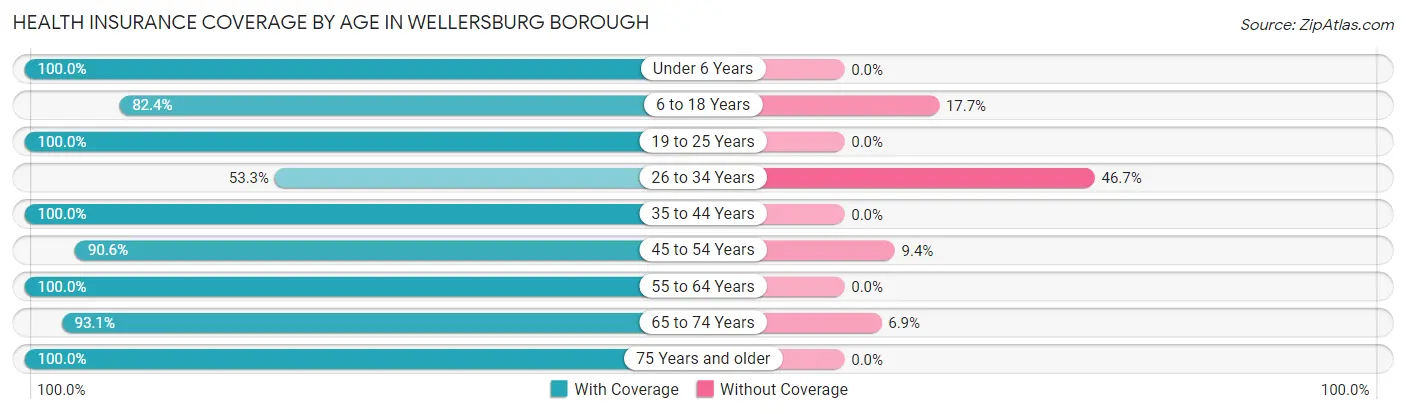 Health Insurance Coverage by Age in Wellersburg borough