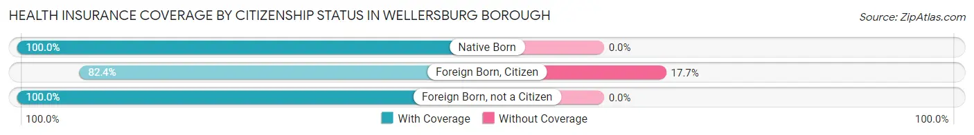 Health Insurance Coverage by Citizenship Status in Wellersburg borough